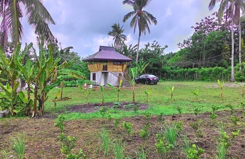 Silang House | Emperor's Organic Farm