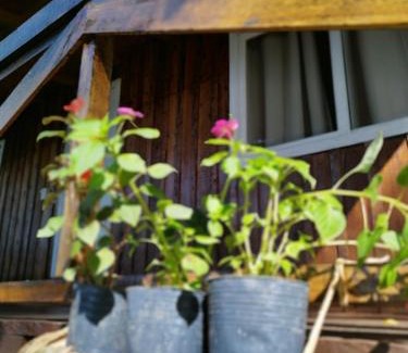 Panambi House | Encanto Panambí