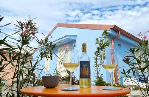 Focene House | EndlessSummer