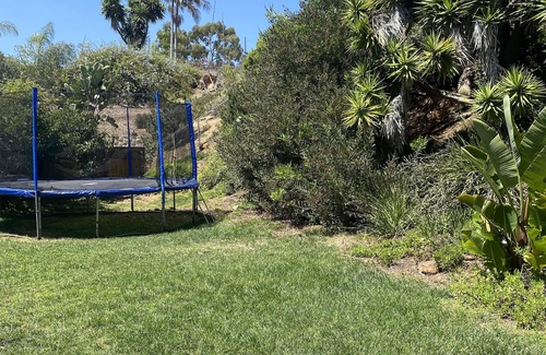 Olde Carlsbad House | Enjoy fresh eggs! Family Retreat-Beach Oasis: 6 bedrooms, large Yard/garden,