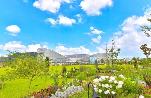 Sejong Apartment | Enjoy korea with good familly. we love sharing each different cultures.