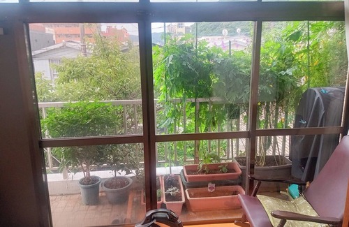 Amami House | Entire building available Limited to one group p /Amami Kagoshima