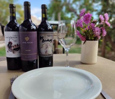 Chacras de Coria Other | Entre racimos, glamping entre viñedos en bodega