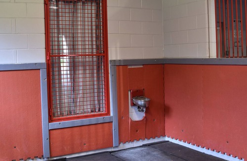 Reddick Apartment | Equine Friendly- Studio Apartment & 6 Stalls