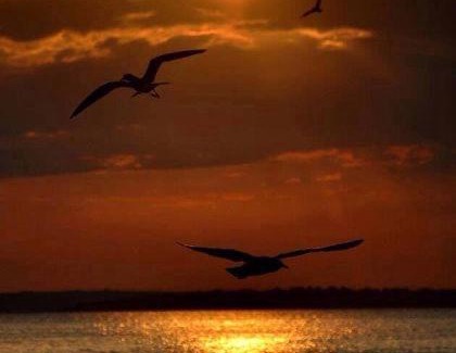 Kadnlar Denizi Mahallesi Bed & Breakfast | Erciyes Hotel