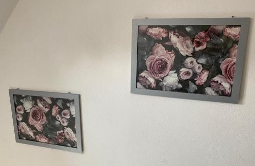 Ettringen Apartment | Erica Ferienwohnung auf dem Traumpfad