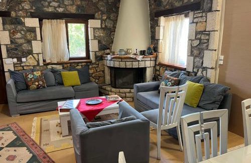 Kalavrita Ski Chalet | Erini House