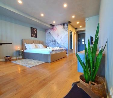 Cluj County Apartment | Eriss Studio Suite - OZone building apartment