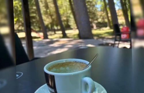 Paracuellos Hotel | Ermita