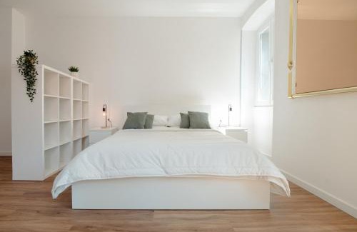 Barriera Vecchia-San Giacomo Apartment | Erta