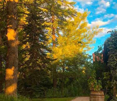 San Rafael Bed & Breakfast | Escapada Exclusiva en Finca con Viñedos y Olivares Relájate en la Naturaleza con Confort y Encanto