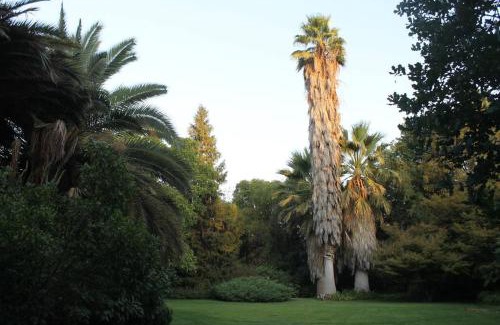 Colina House | Escape al bosque! - Casa Vintage