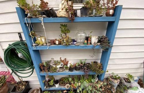 Colina House | Escape al bosque! - Casa Vintage