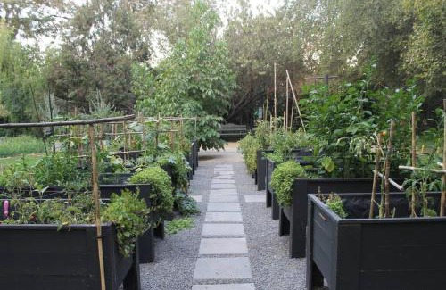 Colina House | Escape al bosque! - Casa Vintage