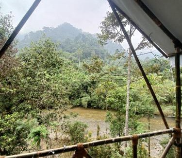 Bohorok Other | Escape Leuser Glamping