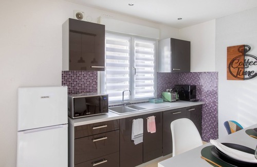 Muntzenheim Apartment | ESPLANADE Ciel etoile SPA Sauna Cinéma Colmar