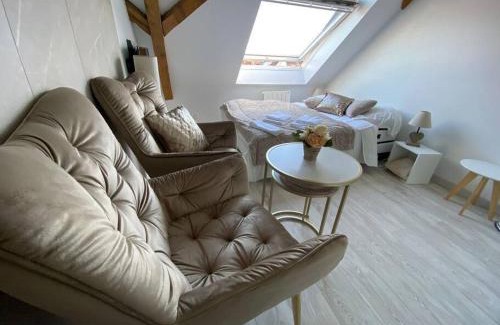 Mulhouse Apartment | Esprit Beige - Joli Studio Salengro - Sauna & Sport club