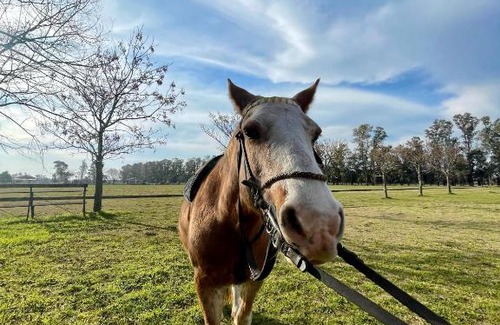 San Miguel del Monte House | Estancia La Manga