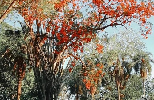 Departamento Eldorado House | Estancia Las Mercedes