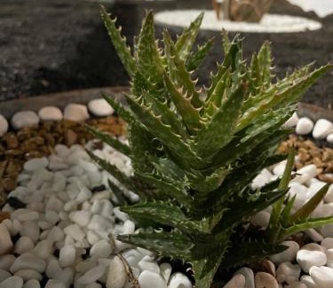 San Bartolome Apartment | Estudio Olivina