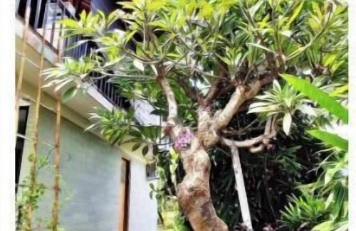 Kalisada Apartment | Ethnic, Beach, peaceful, Spacious, Fun