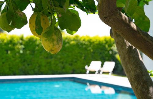 Zafferana Etnea Bed & Breakfast | Etna Bike Holiday