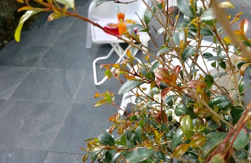 Santa Venerina Apartment | Etna Holidays Home Sere