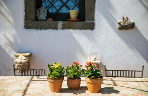 Piedimonte Etneo House | Etnalodge