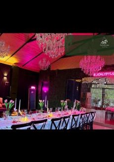 Chakvi House | Eucalyptus Cottages