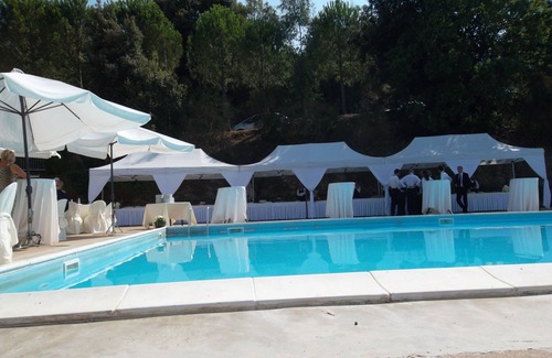 Perdifumo Other | eucalyptus farm