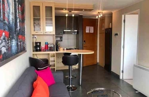 Downtown Santiago Apartment | European areas in Santiago