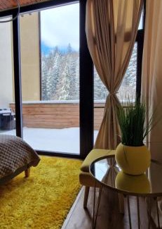Poiana Brasov Apartment | EVVA Apartment Mountain Retreat