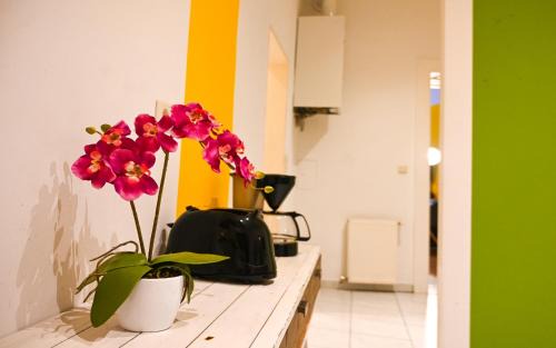 Margareten Apartment | Exclusive Apartment Schönbrunn