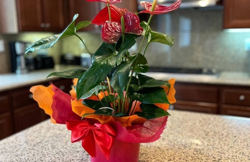 San Miguel Ranch House | Exclusive Eastlake Chula Vista House