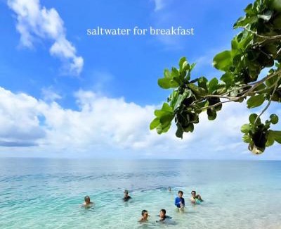 Laiya Villa | Exclusive Whole Resort Booking Beachfront with Pool San Juan Batangas