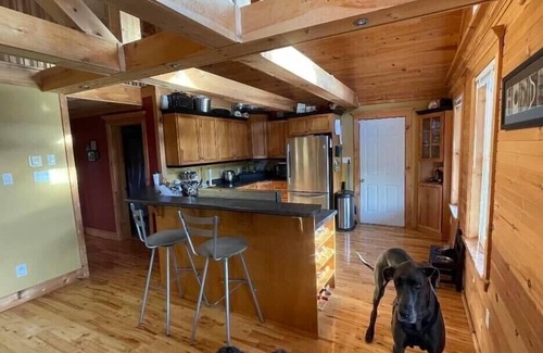 Brigus Junction Ski Chalet | Executive Chalet 30 Mins From City Life NOW WITH HOT TUB