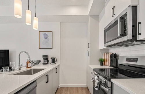 Springbank Hill House | Executive Suite with King Bed » Garage » AC » Free » 65`