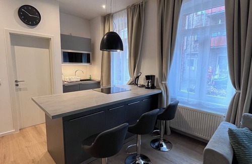 Fuerth Apartment | Exklusives Loft-apatment in Fürth