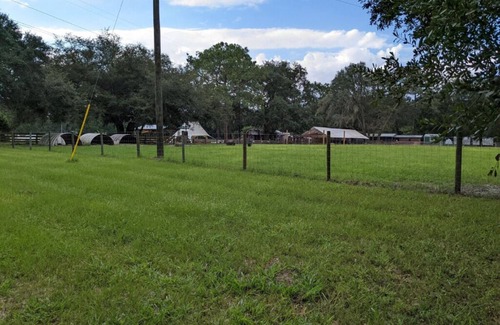 Putnam Hall Apartment | Experience country life at a farm animal sanctuary, perfect for animal lovers!