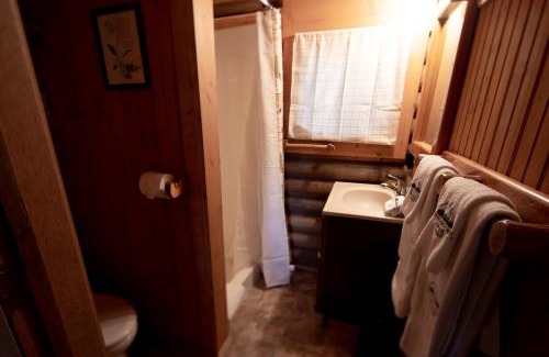 Bigfork Hotel | Experience Montana Cabins - Wildflower #3