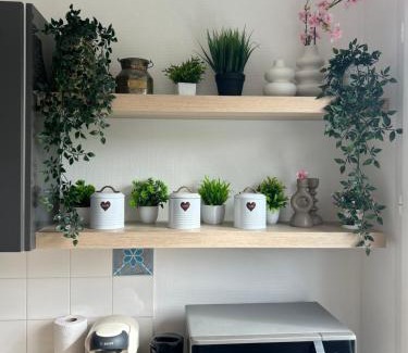 Champs-sur-Marne Apartment | F2 cosy entre Disney et Paris