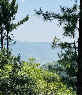 Nathia Gali Apartment | Faimly cottages