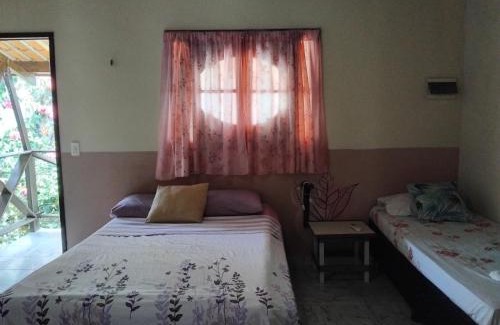 Conde House | Falésias de Carapibus