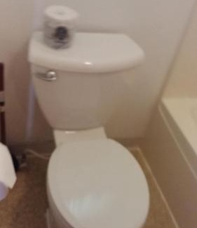 International Falls Hotel | Falls Motel