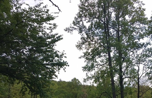 Brevard RV Rental | Family Camp at Pucker Up Berry Farm