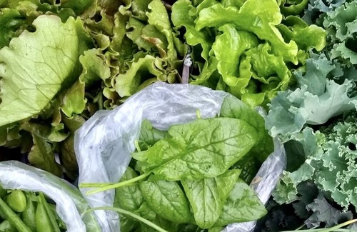 Brevard RV Rental | Family Camp at Pucker Up Berry Farm