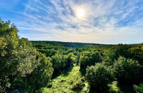 Donji Zagon Apartment | Family-friendly apartments with swimming pool Donji Zagon, Novi Vinodolski - 24555