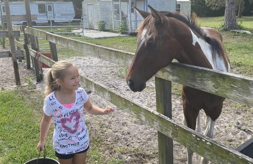 Tropic House | FAMILY FUN FARM NEAR MELBOURNE AIRPORT & DISNEY