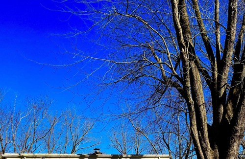 Egg Harbor Township House | Family getaway? Business retreat? Event planning? This is the location for you.