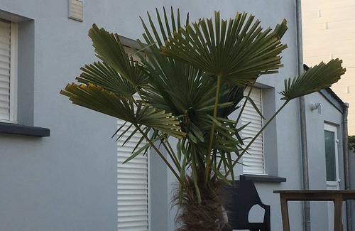 Saint-Marc-sur-Mer House | Family home 100m from the beach